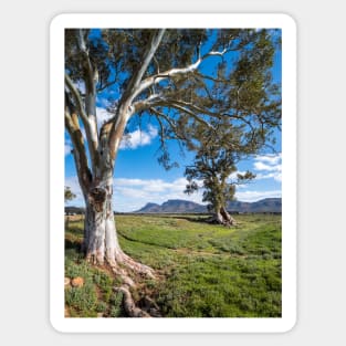 Flinders Ranges, South Australian Landscape Sticker
